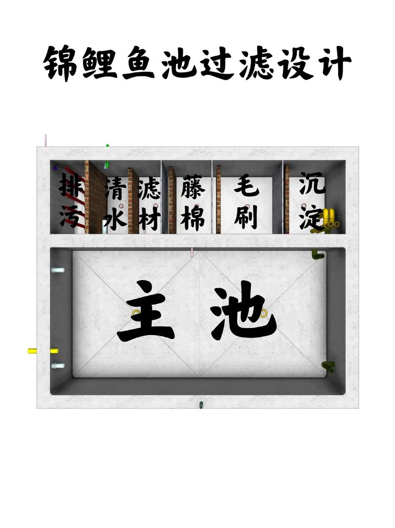 2025全年資料免費大全和一地下室惊现大鱼池与地下室 鱼池