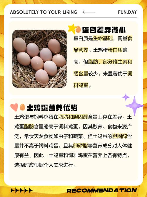 2025全年資料免費大全和美召回170万枚鸡蛋与美国将召回近385万公斤鸡肉
